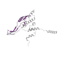 The deposited structure of PDB entry 7l08 contains 1 copy of Pfam domain PF00830 (Ribosomal L28 family) in Large ribosomal subunit protein bL28m. Showing 1 copy in chain SA [auth X].