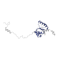 The deposited structure of PDB entry 7l08 contains 1 copy of Pfam domain PF00466 (Ribosomal protein L10) in Large ribosomal subunit protein uL10m. Showing 1 copy in chain LB [auth I].