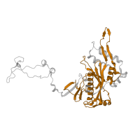 The deposited structure of PDB entry 7l08 contains 1 copy of Pfam domain PF07147 (Mitochondrial 28S ribosomal protein S30 (PDCD9)) in Large ribosomal subunit protein mL37. Showing 1 copy in chain RB [auth 5].