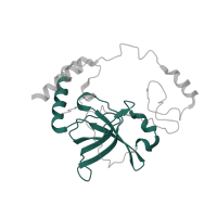 The deposited structure of PDB entry 7l08 contains 1 copy of Pfam domain PF01245 (Ribosomal protein L19) in Large ribosomal subunit protein bL19m. Showing 1 copy in chain EC [auth Q].