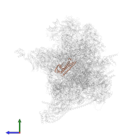 Ribosome-recycling factor, mitochondrial in PDB entry 7l08, assembly 1, side view.