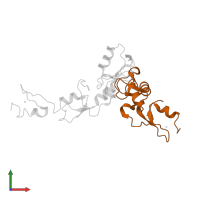 TNF receptor-associated factor 6 in PDB entry 7l3l, assembly 1, front view.