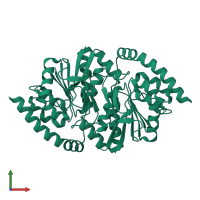 DJ-1/PfpI domain-containing protein in PDB entry 7ldo, assembly 1, front view.