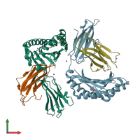 PDB entry 7lfk coloured by chain, front view.