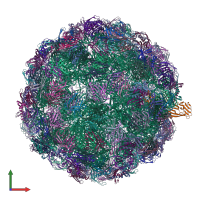 PDB entry 7lhd coloured by chain, front view.