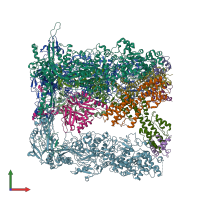 A Unique Role of the Human Cytomegalovirus Small Capsid Protein in