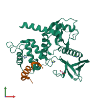 PDB entry 7lwh coloured by chain, front view.