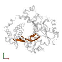 DNA (5'-D(*CP*GP*GP*CP*AP*GP*C)-3') in PDB entry 7m0e, assembly 3, front view.