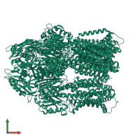 Efflux pump membrane transporter in PDB entry 7m4p, assembly 1, front view.