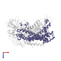 Reaction center protein M chain in PDB entry 7mha, assembly 1, top view.