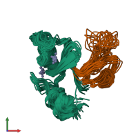 PDB entry 7mla coloured by chain, ensemble of 20 models, front view.