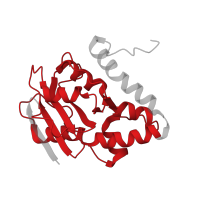 The deposited structure of PDB entry 7mqb contains 8 copies of Pfam domain PF01612 (3'-5' exonuclease) in 3'-5' exonuclease domain-containing protein. Showing 1 copy in chain A.