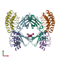 PDB entry 7mxi coloured by chain, front view.