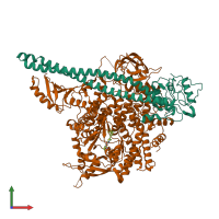 PDB entry 7myo coloured by chain, front view.