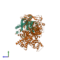 PDB entry 7myo coloured by chain, side view.