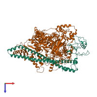 PDB entry 7myo coloured by chain, top view.