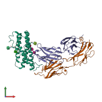 PDB entry 7n0a coloured by chain, front view.