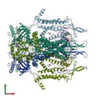 PDB entry 7n15 coloured by chain, front view.