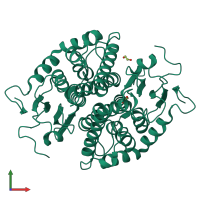 Homo dimeric assembly 1 of PDB entry 7nc8 coloured by chemically distinct molecules, front view.