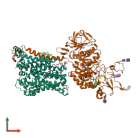 PDB entry 7nf8 coloured by chain, front view.