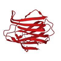 The deposited structure of PDB entry 7nml contains 2 copies of Pfam domain PF00337 (Galactoside-binding lectin) in Galectin-1. Showing 1 copy in chain A.
