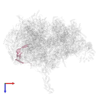 39S ribosomal protein L21, mitochondrial isoform d in PDB entry 7nsj, assembly 1, top view.