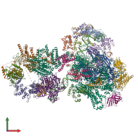 PDB entry 7nvz coloured by chain, front view.