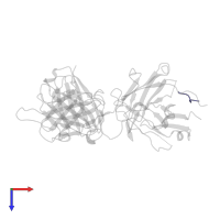 C-C chemokine receptor type 5 in PDB entry 7nw3, assembly 1, top view.