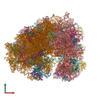 PDB entry 7nwi coloured by chain, front view.