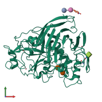 PDB entry 7nyt coloured by chain, front view.