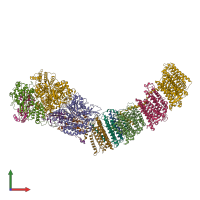 PDB entry 7nyu coloured by chain, front view.