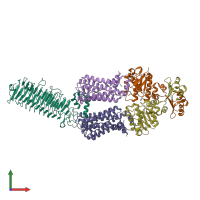 PDB entry 7o0y coloured by chain, front view.