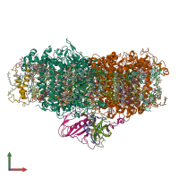 PDB entry 7o1v coloured by chain, front view.