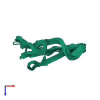 PDB entry 7o2k coloured by chain, ensemble of 20 models, top view.