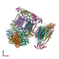 PDB entry 7o37 coloured by chain, front view.
