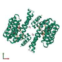 Hetero tetrameric assembly 1 of PDB entry 7o3a coloured by chemically distinct molecules, front view.