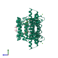 Hetero tetrameric assembly 1 of PDB entry 7o3a coloured by chemically distinct molecules, side view.