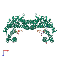 Hetero tetrameric assembly 1 of PDB entry 7o3a coloured by chemically distinct molecules, top view.