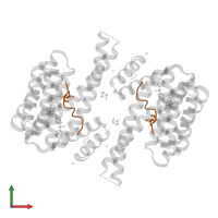Transcription factor p65 in PDB entry 7o3a, assembly 1, front view.