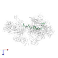 Template DNA in PDB entry 7o75, assembly 1, top view.