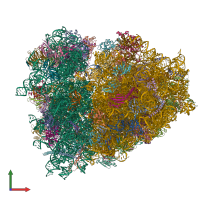 PDB entry 7o7z coloured by chain, front view.