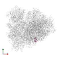Large ribosomal subunit protein uL23 in PDB entry 7o80, assembly 1, front view.
