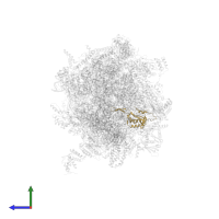 Large ribosomal subunit protein uL22m in PDB entry 7o9m, assembly 1, side view.