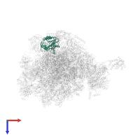Large ribosomal subunit protein mL39 in PDB entry 7o9m, assembly 1, top view.