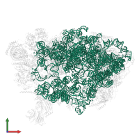 25S ribosomal RNA in PDB entry 7ohv, assembly 1, front view.