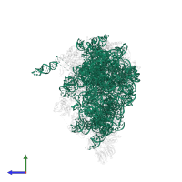 25S ribosomal RNA in PDB entry 7ohv, assembly 1, side view.