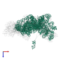 25S ribosomal RNA in PDB entry 7ohv, assembly 1, top view.