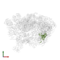 Large ribosomal subunit protein uL3 in PDB entry 7ohv, assembly 1, front view.