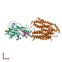 PDB entry 7oix coloured by chain, front view.