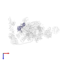 DNA-directed RNA polymerase RpoA/D/Rpb3-type domain-containing protein in PDB entry 7oop, assembly 1, top view.